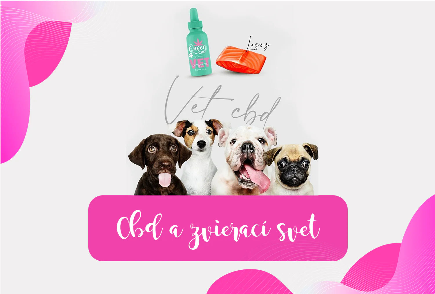 CBD BODUJE AJ VO ZVIERACOM SVETE: AKO MÔŽE POMÔCŤ VÁŠMU PSÍKOVI?