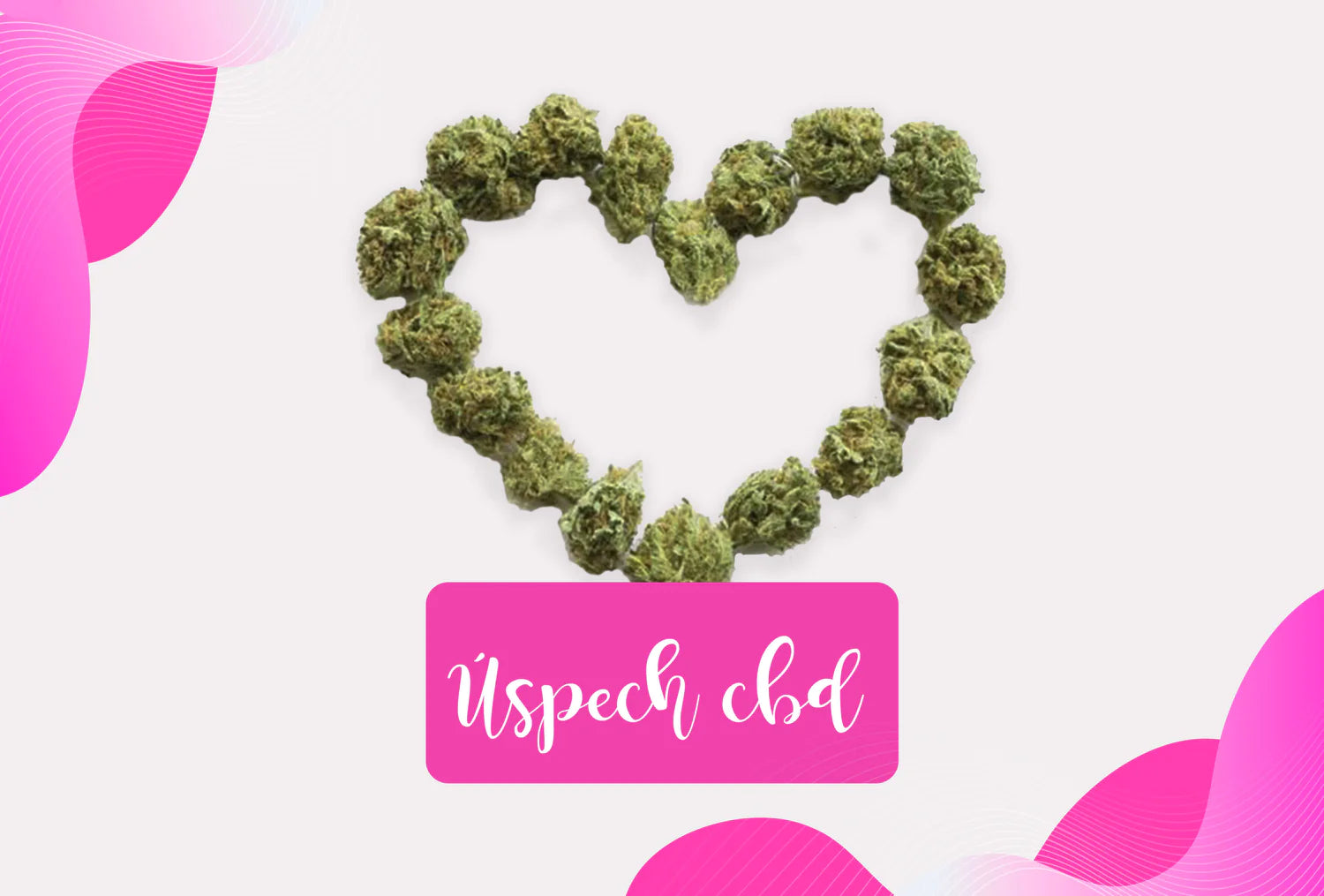 V čom spočíva úspech CBD medzi miliónmi ľudí?